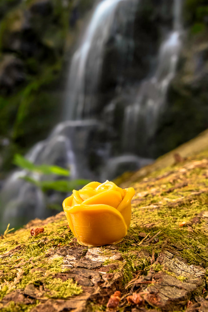 Rose Beeswax Candle