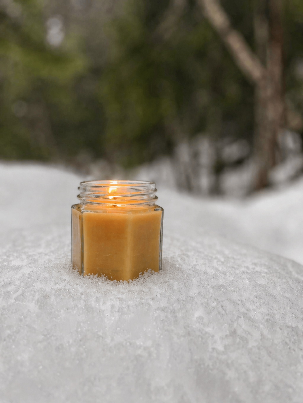 Winter Solstice - Essential Oil Scented Candle