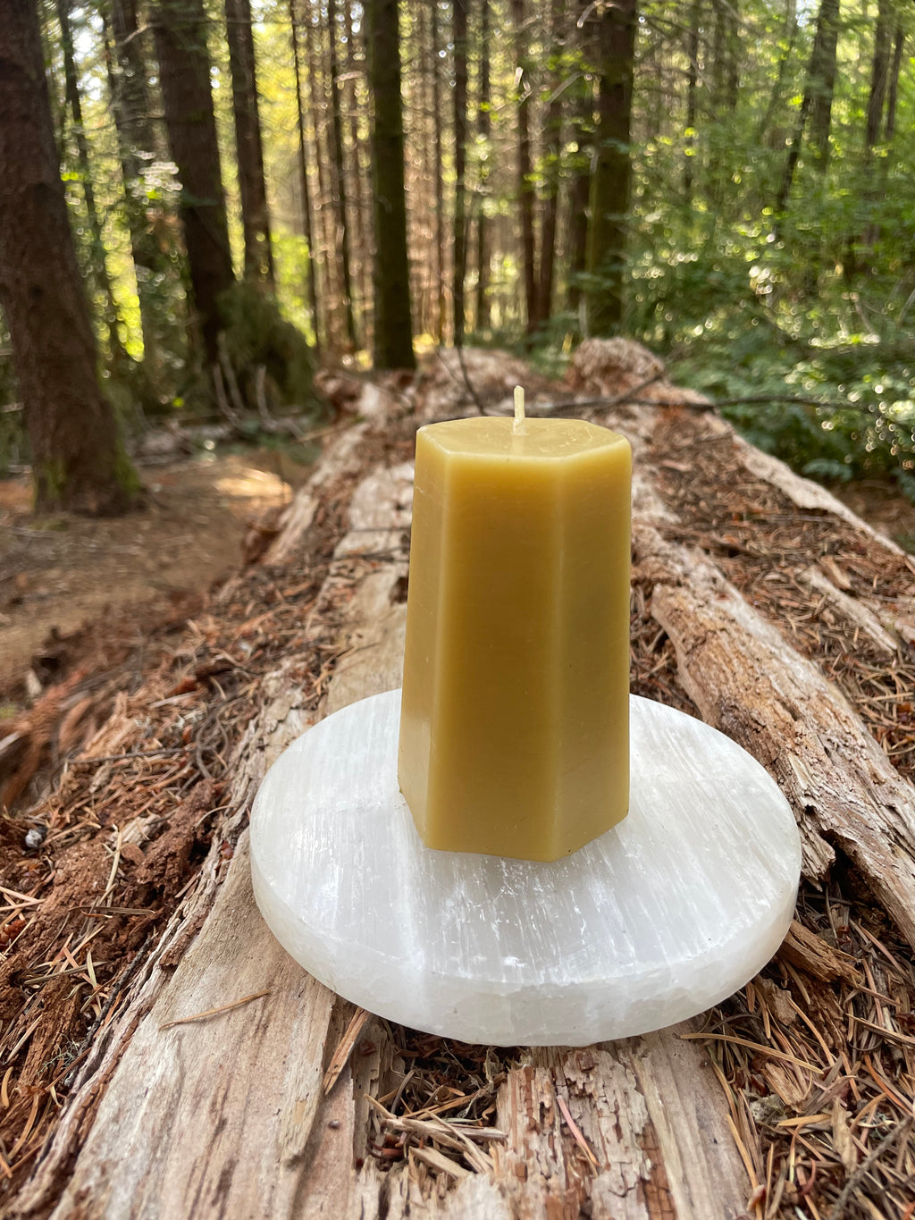 Hexagon Pillar - Pure Beeswax Candle
