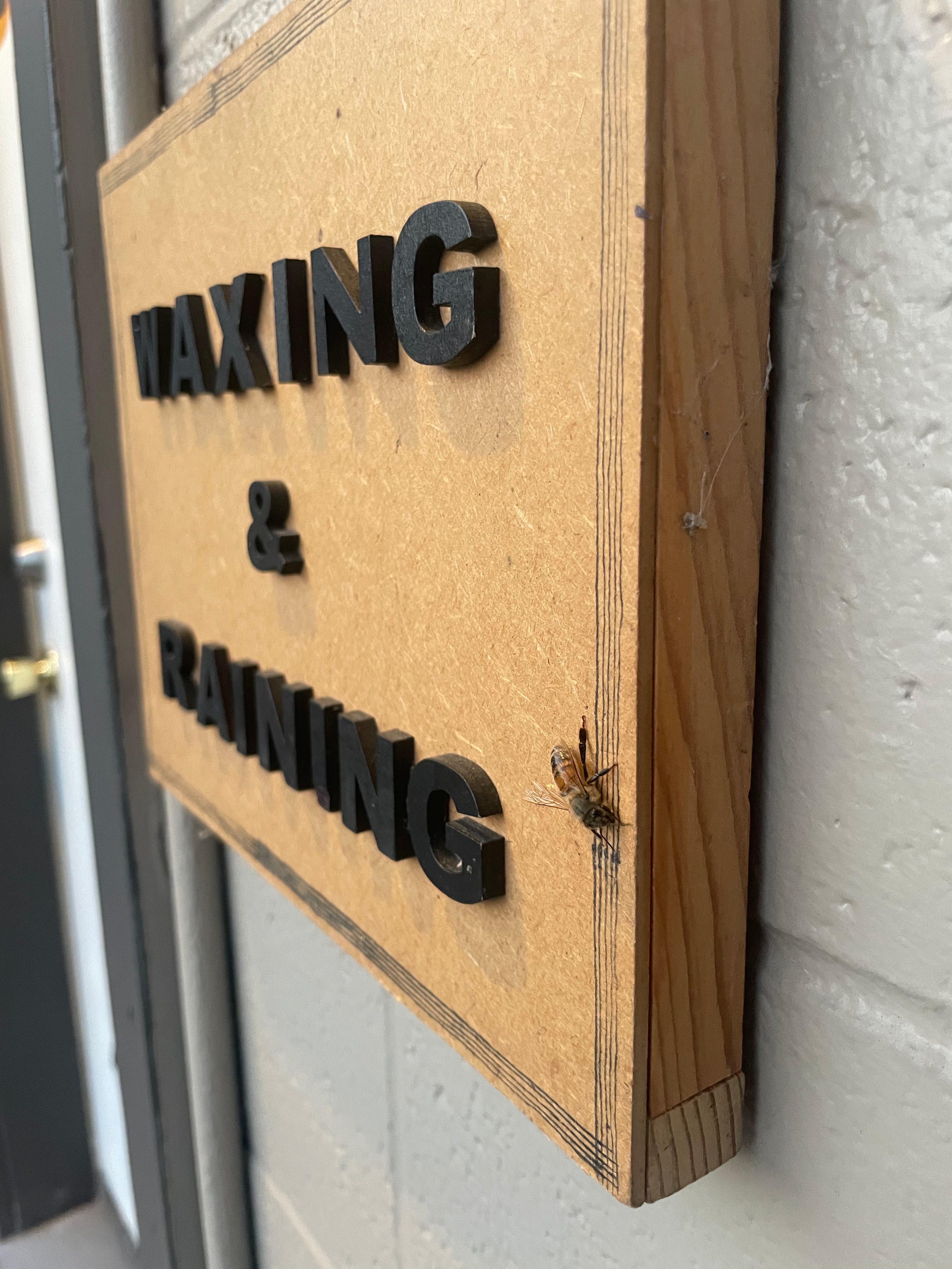 Visit our Shop & Studio in McMinnville, Oregon.