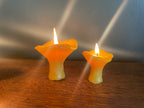 Small Mushroom Gift Set