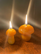 Small Mushroom Gift Set