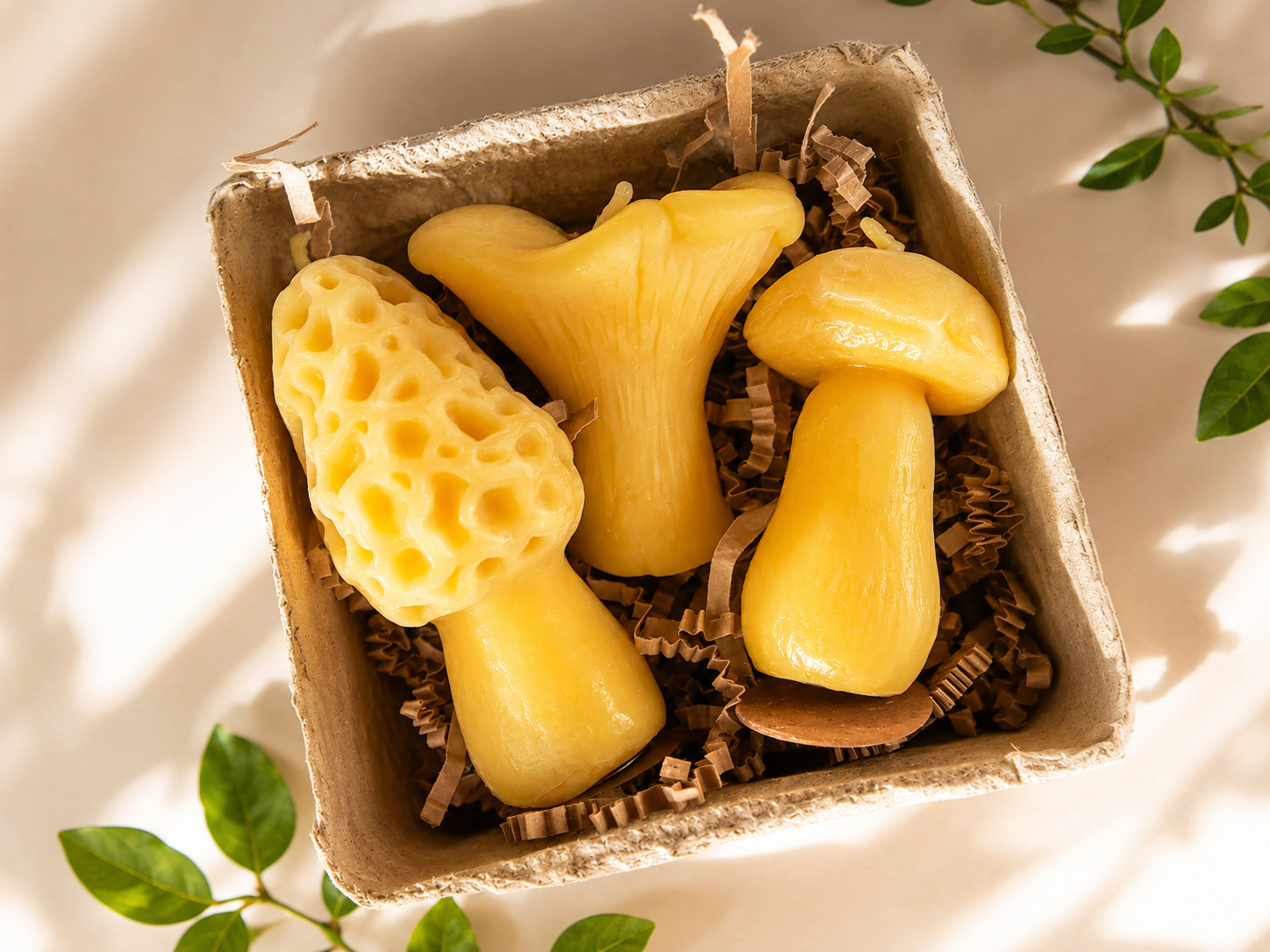 Small Mushroom Gift Set