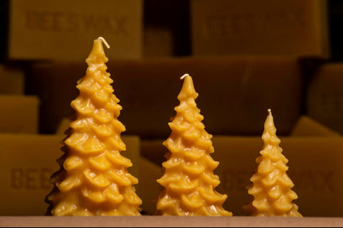 beeswax christmas tree candles