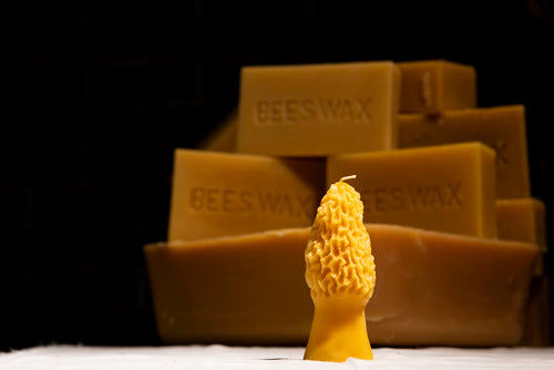 morel mushroom shaped beeswax candle with beeswax bars