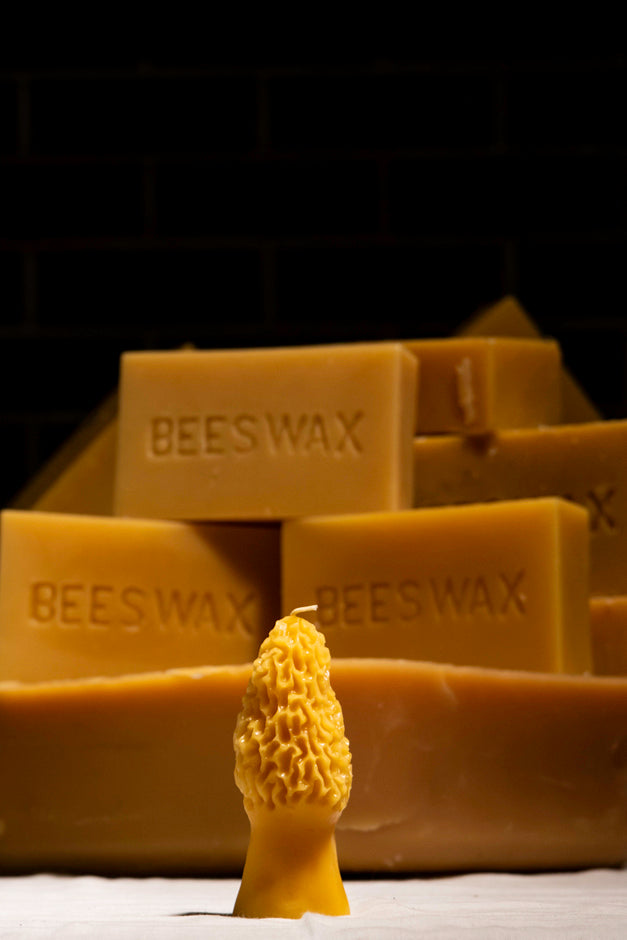 morel mushroom shaped beeswax candle with beeswax bars