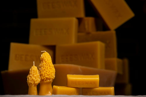 morel mushroom shaped beeswax candles with beeswax bars